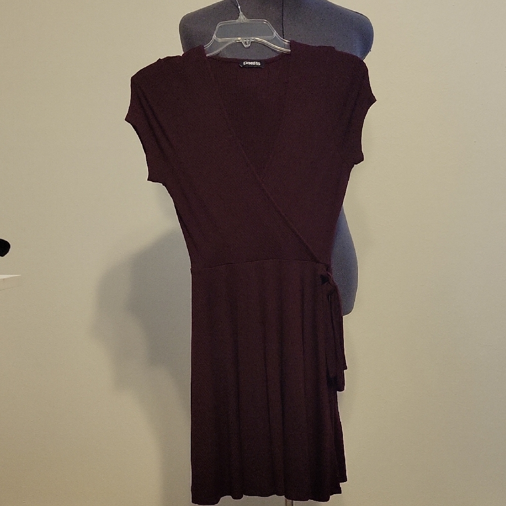 Express Deep Burgundy Mini Dress